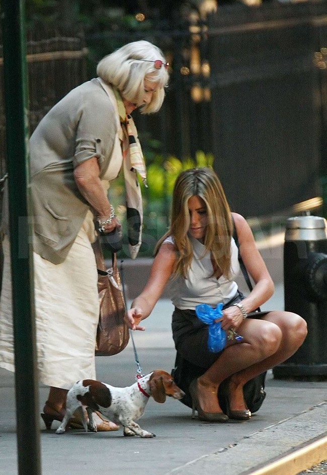 1) Jennifer Aniston kutyagumit szedett fel.