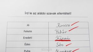 15 iskolai dolgozat, amit nem bírsz ki nevetés nélkül