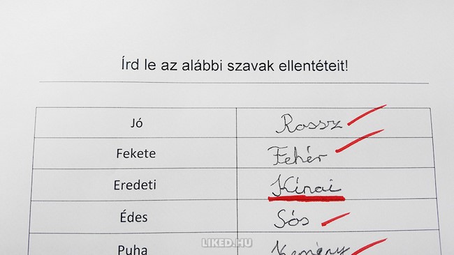 15 iskolai dolgozat, amit nem bírsz ki nevetés nélkül