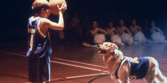 Szájkosaras kosaras /Air Bud, 1997/