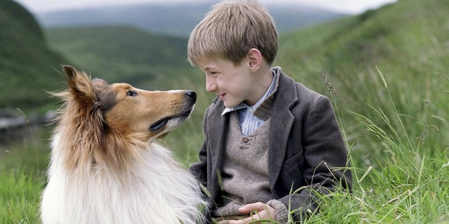 Lassie /Lassie, 2005/