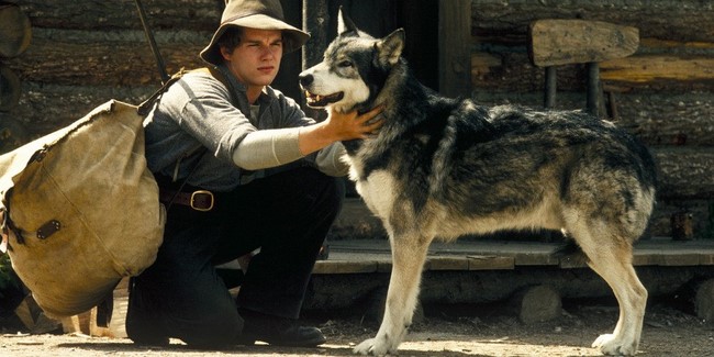 Fehér Agyar /White Fang, 1991/