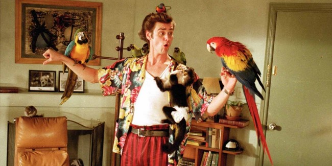 Ace Ventura 1-2 (Ace Ventura 1-2, 1994 és 1995)