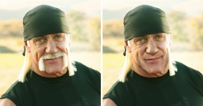 Hulk Hogan