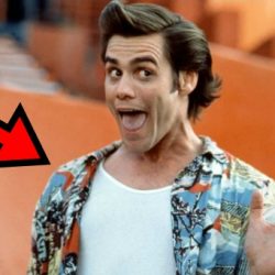 Ace Ventura bakik