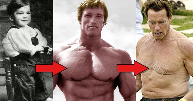 Arnold Schwarzenegger így változott meg az évtizedek során - Top Pont