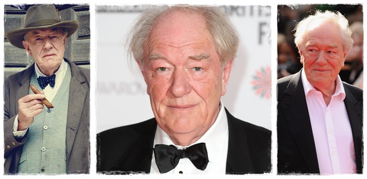 Albus Dumpledore - Michael Gambon