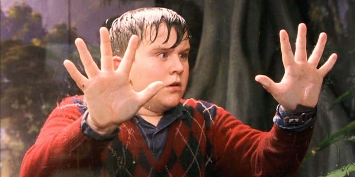 Dudley Dursley - Harry Melling