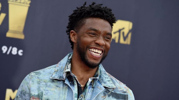 Chadwick Boseman /T'Challa, Fekete Párduc/