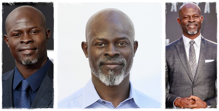 A varázsló /Djimon Hounsou/