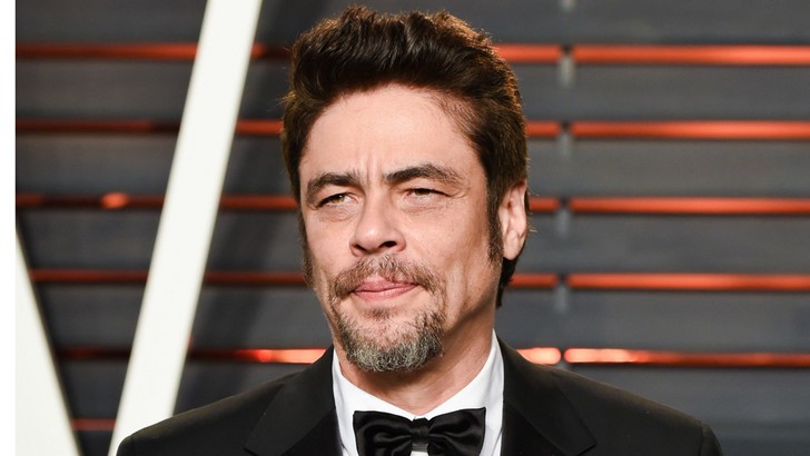 Benicio del Toro /Taneleer Tivan/