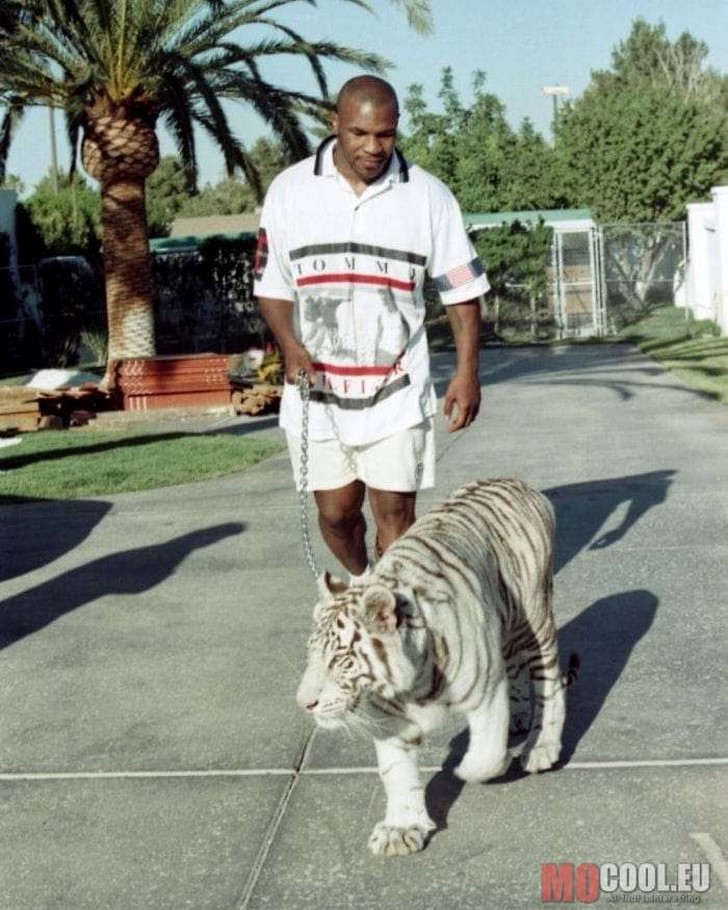 Mike Tyson