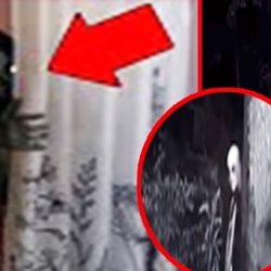 A 10 leghátborzongatóbb paranormális rejtély, amely valóban igaznak bizonyult