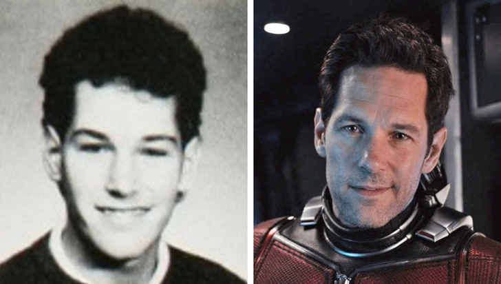 Paul Rudd, Hangya