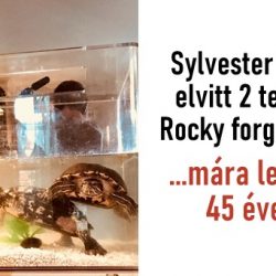 15 megindító filmes tény, amitől egész nap vigyorogni fogsz