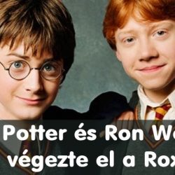 18 megdöbbentő tény a Harry Potterről, ami még a legnagyobb fanatikusokat is képes sokkolni