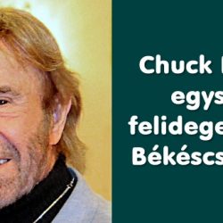 Minden idők 20 legviccesebb Chuck Norris beszólása