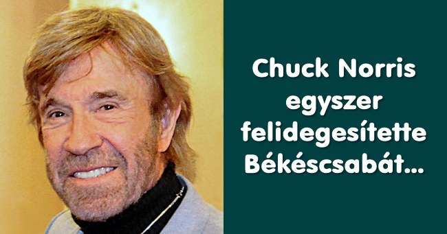 Minden idők 20 legviccesebb Chuck Norris beszólása