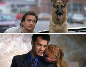 12 film, amelyek gyanúsan hasonlítanak egymásra