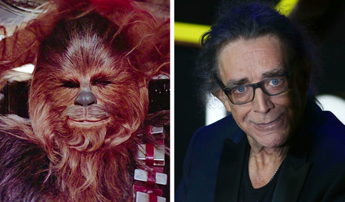 Így néznek ki ma, 40 évvel később 'A Jedi visszatér' című Star Wars film színészei