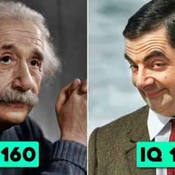 10 híresség, akiknek az IQ-juk olyan magas, hogy a következő Einstein-ek lehetnének